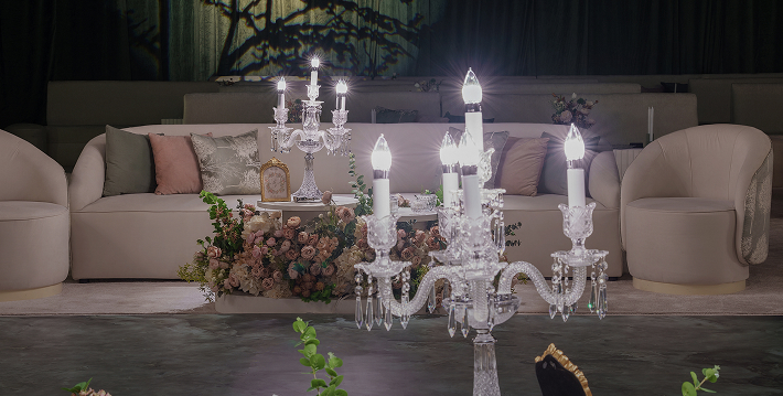 Culinary Excellence: Our Professional Chef Team