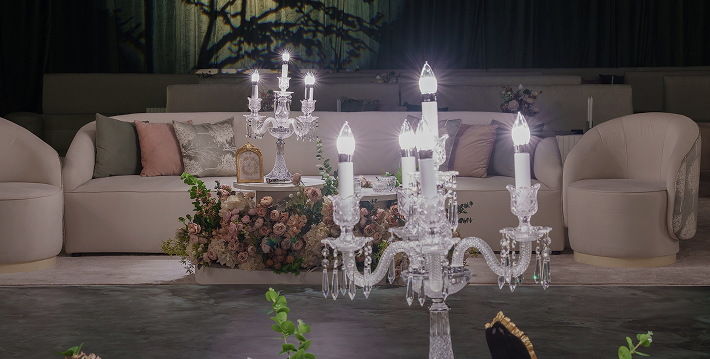 Culinary Excellence: Our Professional Chef Team